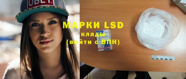 индика Беломорск