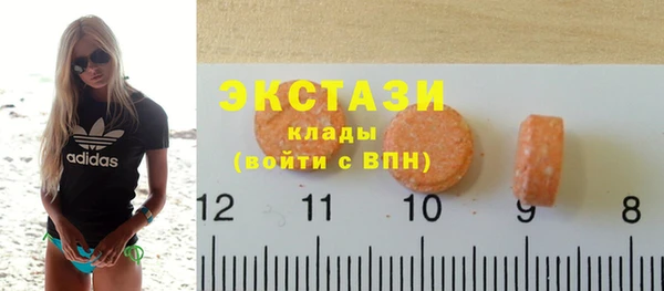 индика Беломорск