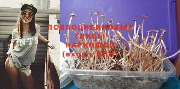 первитин Белокуриха