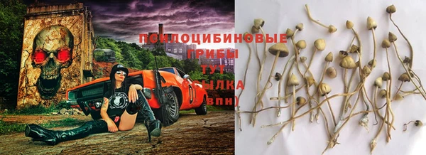 первитин Белокуриха