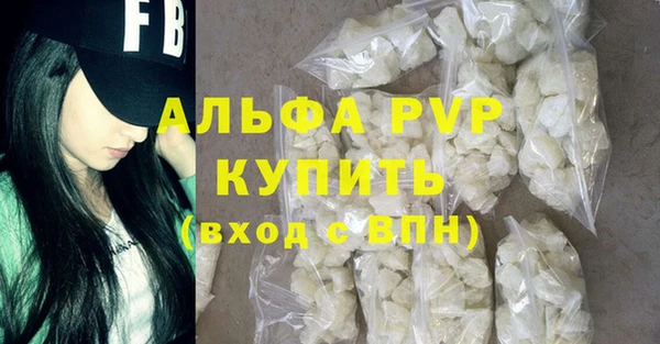 индика Беломорск