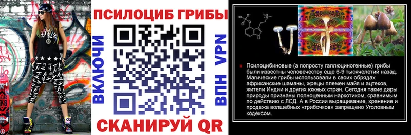Псилоцибиновые грибы GOLDEN TEACHER  купить   Будённовск 